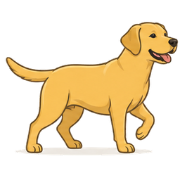 Remy's Lab